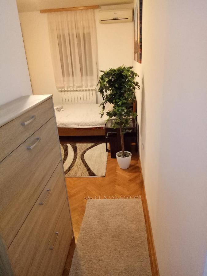 Cozy Studio 贝尔格莱德 外观 照片
